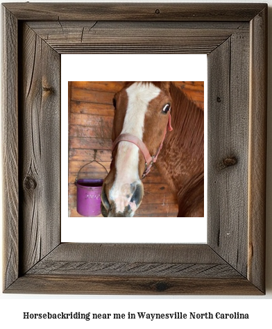 horseback riding near me in Waynesville, North Carolina